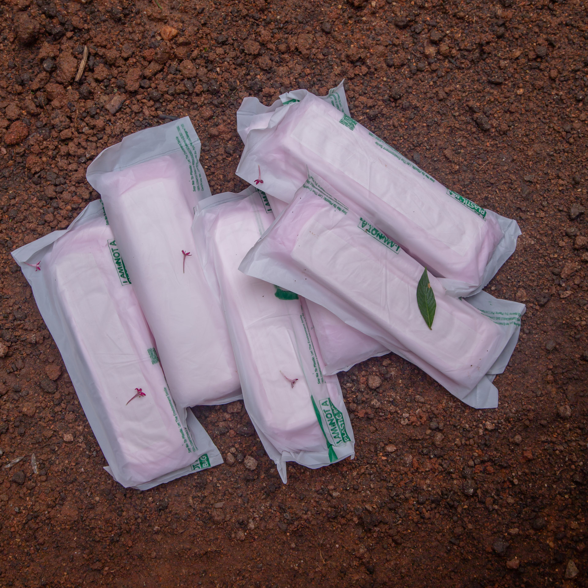 Biodegradable Sanitary Pads, Made of Pure Cotton and Wood Pulp - 42 Pads - Image 2
