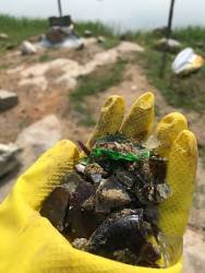 WhatsApp Image 2025-08-15 at 7.55.02 PM