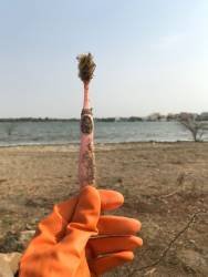 WhatsApp Image 2025-08-15 at 7.55.04 PM (2)