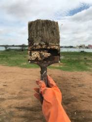 WhatsApp Image 2025-08-15 at 7.55.05 PM (1)