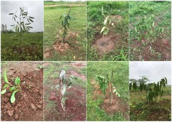 WhatsApp Image 2025-08-15 at 7.55.08 PM